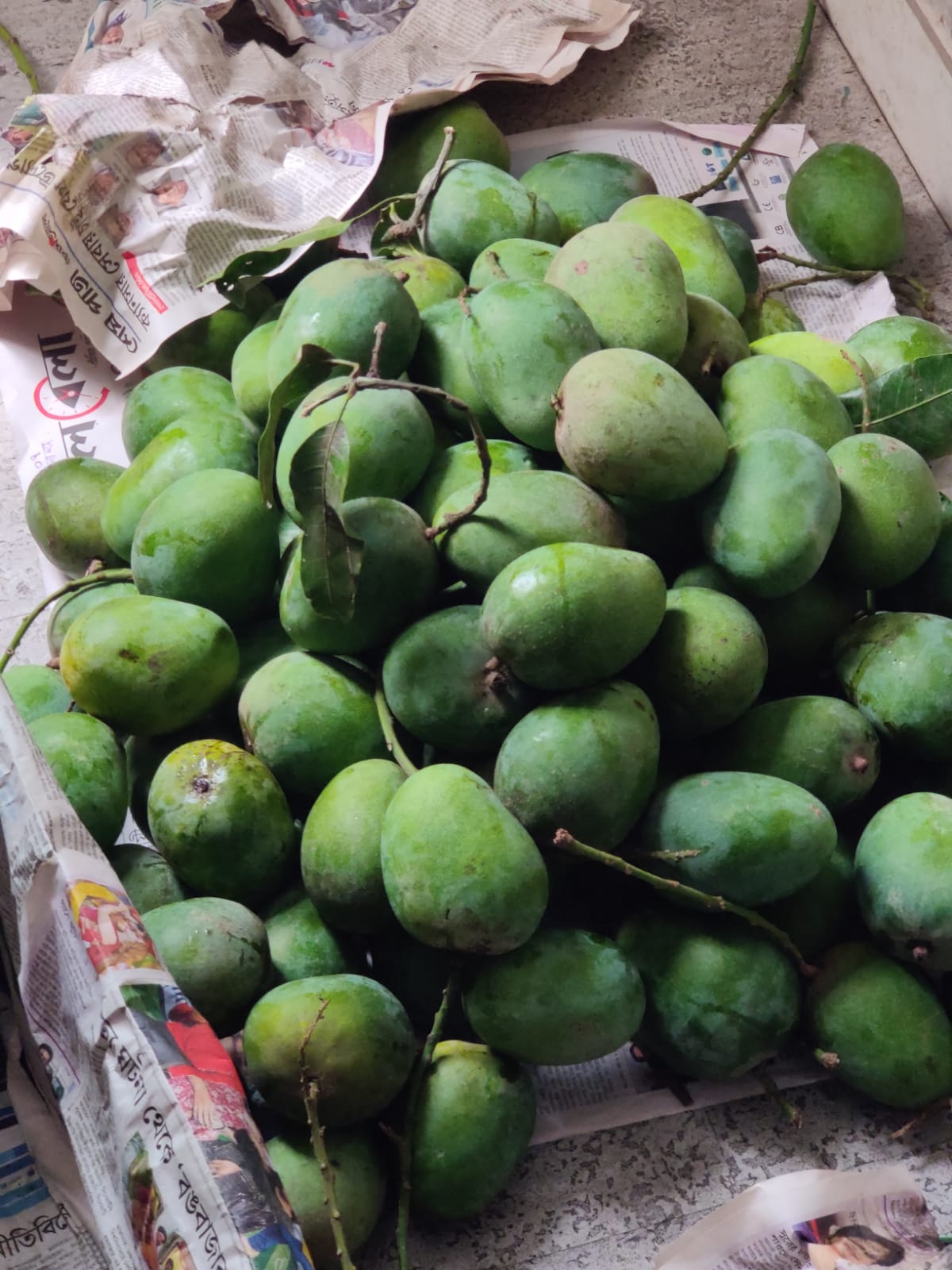 A Sweet Surprise: Mango Season Delights Dohatec Office Employees